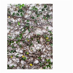 Climbing Plant At Outdoor Wall Small Garden Flag (two Sides) by dflcprintsclothing