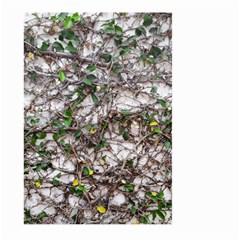 Climbing Plant At Outdoor Wall Large Garden Flag (two Sides) by dflcprintsclothing