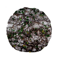 Climbing Plant At Outdoor Wall Standard 15  Premium Round Cushions by dflcprintsclothing