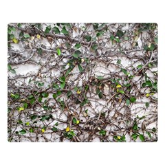 Climbing Plant At Outdoor Wall Two Sides Premium Plush Fleece Blanket (large) by dflcprintsclothing