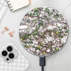 Climbing Plant At Outdoor Wall Wireless Fast Charger(white) by dflcprintsclothing