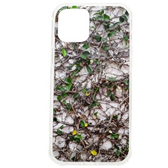 Climbing Plant At Outdoor Wall Iphone 12 Pro Max Tpu Uv Print Case by dflcprintsclothing