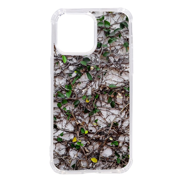 Climbing Plant At Outdoor Wall iPhone 14 Pro Max TPU UV Print Case