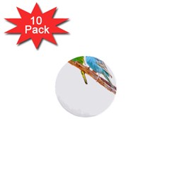 Budgies T- Shirt Cute Budgies Beaking T- Shirt 1  Mini Buttons (10 pack) 