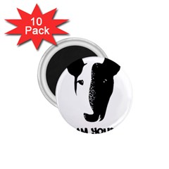 Bull Terrier T- Shirt Bull Terrier T- Shirt 1 75  Magnets (10 Pack)  by EnriqueJohnson