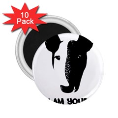 Bull Terrier T- Shirt Bull Terrier T- Shirt 2 25  Magnets (10 Pack)  by EnriqueJohnson