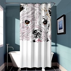 Bulldog T- Shirt Painting Of A Brown And White Bulldog Lying Down With His Tongue Out T- Shirt Shower Curtain 36  X 72  (stall)  by EnriqueJohnson