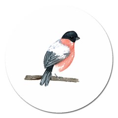 Bullfinch T- Shirt White Look Calm Bullfinch 21 T- Shirt Magnet 5  (round) by EnriqueJohnson