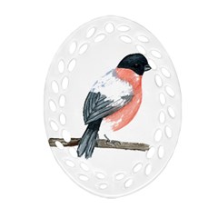 Bullfinch T- Shirt White Look Calm Bullfinch 21 T- Shirt Ornament (oval Filigree) by EnriqueJohnson