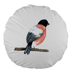 Bullfinch T- Shirt White Look Calm Bullfinch 21 T- Shirt Large 18  Premium Round Cushions by EnriqueJohnson