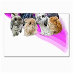 Bunnies T- Shirt Super Cute Fluffle Of Bunnies Of All Breeds! T- Shirt Postcard 4 x 6  (Pkg of 10) Front