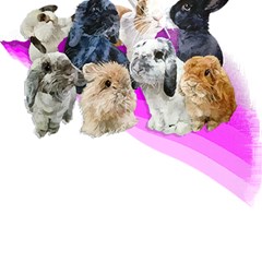 Bunnies T- Shirt Super Cute Fluffle Of Bunnies Of All Breeds! T- Shirt Play Mat (square) by EnriqueJohnson