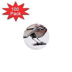 Whistle T- Shirtfinch T- Shirt 1  Mini Buttons (100 Pack) 