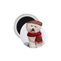 White Bichon Frise Santa Xmas T- Shirt Red Winter Hat Scarf Christmas Cap White Bichon Frise  Santa 1 75  Magnets by ZUXUMI