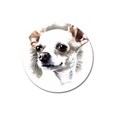 White Chihuahua T- Shirt White And Tan Chihuahua Portrait Watercolor Style T- Shirt Magnet 3  (round) by ZUXUMI