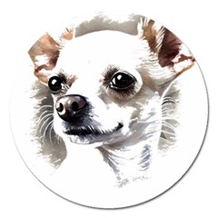 White Chihuahua T- Shirt White And Tan Chihuahua Portrait Watercolor Style T- Shirt Magnet 5  (round) by ZUXUMI