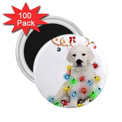 White Labrador Dog Snow Reindeer Santa T- Shirt White Labrador  Dog Snow Reindeer Santa Hat Christma 2 25  Magnets (100 Pack)  by ZUXUMI