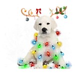 White Labrador Dog Snow Reindeer Santa T- Shirt White Labrador  Dog Snow Reindeer Santa Hat Christma Deluxe Canvas 14  x 11  (Stretched) 14  x 11  x 1.5  Stretched Canvas