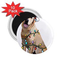 White Labrador Dog T- Shirt White Labrador Dog Santa Christmas Tree Lights Xmas T- Shirt 2 25  Magnets (10 Pack)  by ZUXUMI