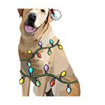 White Labrador Dog T- Shirt White Labrador Dog Santa Christmas Tree Lights Xmas T- Shirt Deluxe Canvas 14  x 11  (Stretched) 14  x 11  x 1.5  Stretched Canvas