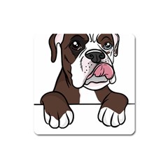 Boxer Dog T- Shirt Tri Colored Boxer T- Shirt Square Magnet by JamesGoode