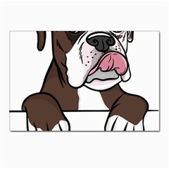 Boxer Dog T- Shirt Tri Colored Boxer T- Shirt Postcard 4 x 6  (pkg Of 10) by JamesGoode