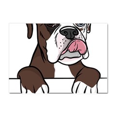 Boxer Dog T- Shirt Tri Colored Boxer T- Shirt Crystal Sticker (a4) by JamesGoode