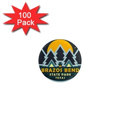 Brazos Bend State Park T- Shirt Brazos Bend State Park Night Sky T- Shirt 1  Mini Magnets (100 Pack)  by JamesGoode