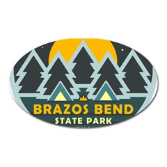 Brazos Bend State Park T- Shirt Brazos Bend State Park Night Sky T- Shirt Oval Magnet by JamesGoode