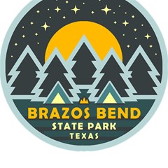 Brazos Bend State Park T- Shirt Brazos Bend State Park Night Sky T- Shirt Play Mat (square) by JamesGoode