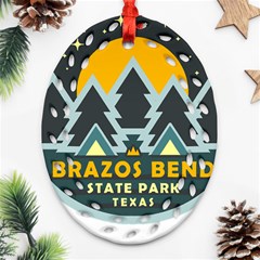 Brazos Bend State Park T- Shirt Brazos Bend State Park Night Sky T- Shirt Ornament (oval Filigree) by JamesGoode