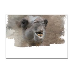 Camel T- Shirt Camel Portrait T- Shirt Crystal Sticker (a4) by EnriqueJohnson