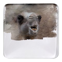 Camel T- Shirt Camel Portrait T- Shirt Square Glass Fridge Magnet (4 Pack) by EnriqueJohnson