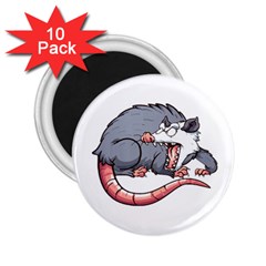 Opossum T-shirtwhite Look Calm Opossum 03 T-shirt (1) 2 25  Magnets (10 Pack)  by EnriqueJohnson