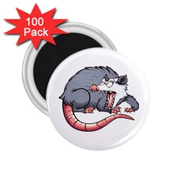 Opossum T-shirtwhite Look Calm Opossum 03 T-shirt (1) 2 25  Magnets (100 Pack)  by EnriqueJohnson