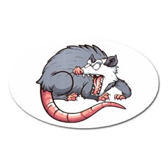 Opossum T-shirtwhite Look Calm Opossum 03 T-shirt (1) Oval Magnet by EnriqueJohnson