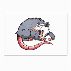 Opossum T-shirtwhite Look Calm Opossum 03 T-shirt (1) Postcard 4 x 6  (pkg Of 10) by EnriqueJohnson