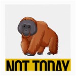 Orangutan T-shirtnope Not Today Orangutan 16 T-shirt Medium Glasses Cloth (2 Sides) Front