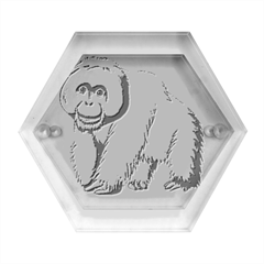 Orangutan T-shirtnope Not Today Orangutan 16 T-shirt Hexagon Wood Jewelry Box by EnriqueJohnson