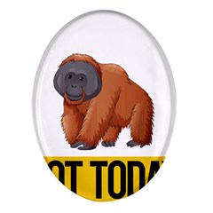 Orangutan T-shirtnope Not Today Orangutan 16 T-shirt Oval Glass Fridge Magnet (4 Pack) by EnriqueJohnson