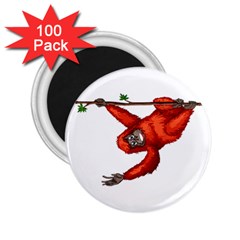 Orangutan T-shirtsteal Your Heart Orangutan 05 T-shirt 2.25  Magnets (100 pack) 