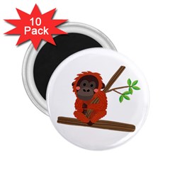 Orangutan T-shirtsteal Your Heart Orangutan 14 T-shirt 2 25  Magnets (10 Pack)  by EnriqueJohnson