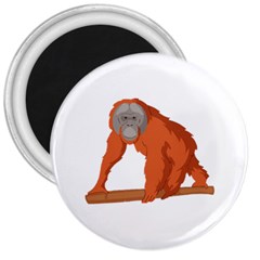 Orangutan T-shirtwhite Look Calm Orangutan 07 T-shirt (1) 3  Magnets by EnriqueJohnson