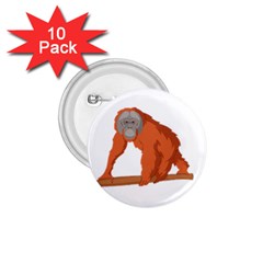 Orangutan T-shirtwhite Look Calm Orangutan 07 T-shirt (1) 1 75  Buttons (10 Pack) by EnriqueJohnson