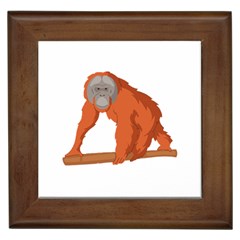 Orangutan T-shirtwhite Look Calm Orangutan 07 T-shirt Framed Tile by EnriqueJohnson