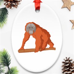 Orangutan T-shirtwhite Look Calm Orangutan 07 T-shirt Ornament (oval) by EnriqueJohnson