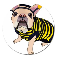 English Bulldog T- Shirt English Bee Dog T- Shirt Magnet 5  (round) by ZUXUMI