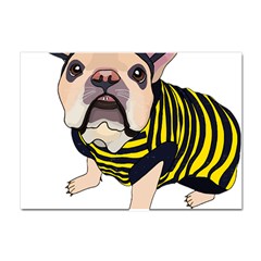 English Bulldog T- Shirt English Bee Dog T- Shirt Crystal Sticker (a4) by ZUXUMI