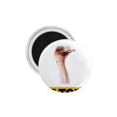 Ostrich T-shirtnope Not Today Ostrich 47 T-shirt 1 75  Magnets by EnriqueJohnson