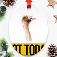 Ostrich T-shirtnope Not Today Ostrich 47 T-shirt Ornament (oval) by EnriqueJohnson